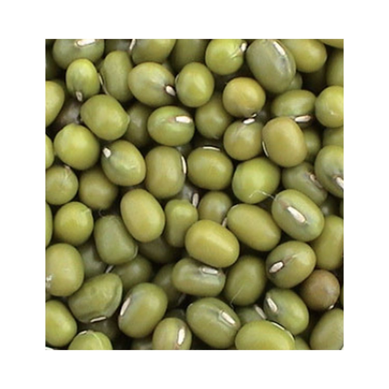 绿豆 1磅