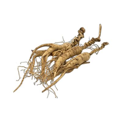 中国 长白山 野山参 1两