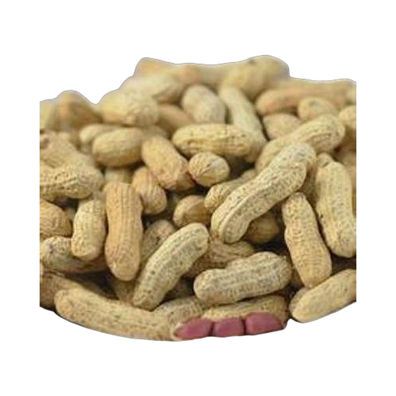 原味花生 1磅