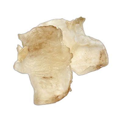 蝴蝶肚 (中) 1磅