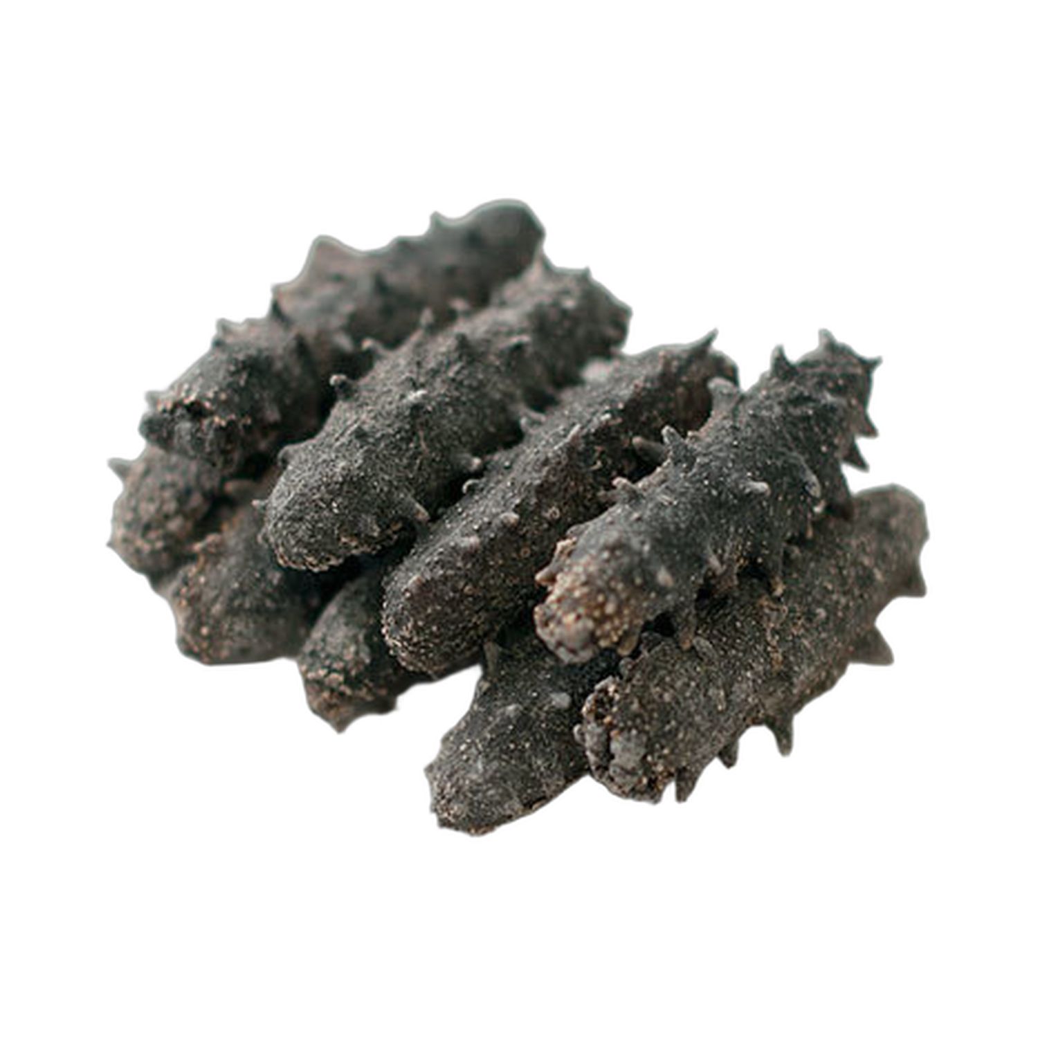 日本大辽参 1磅