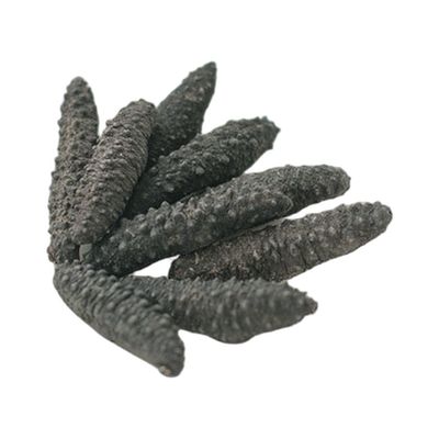 阿拉斯加小乌刺参 小 1磅