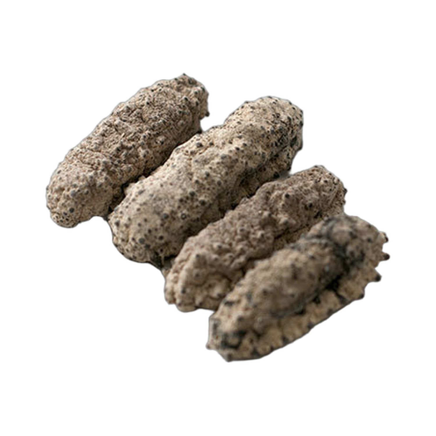 墨西哥肥仔参 中 1磅