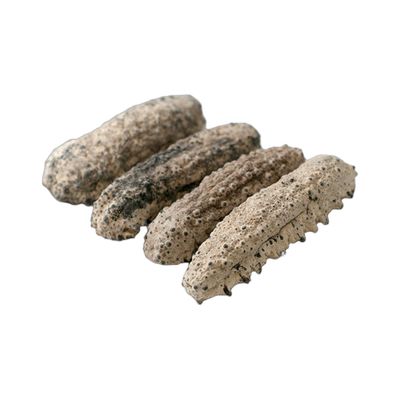 墨西哥肥仔参 大 1磅