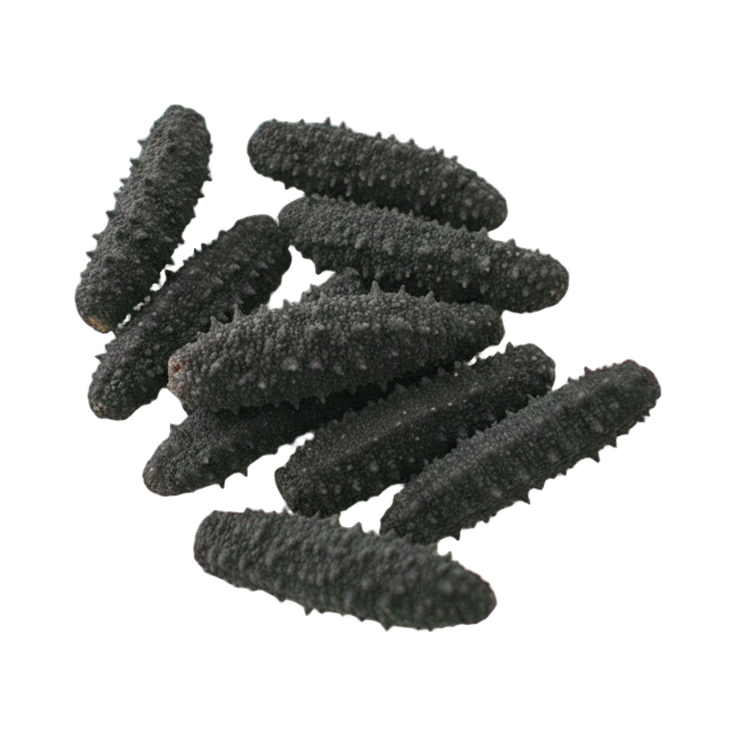 阿拉斯加小乌刺参 中 1磅