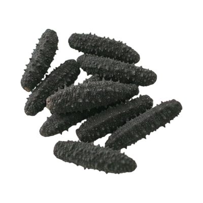 阿拉斯加小乌刺参 中 1磅