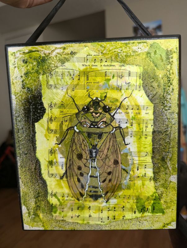 Song of the Cicada