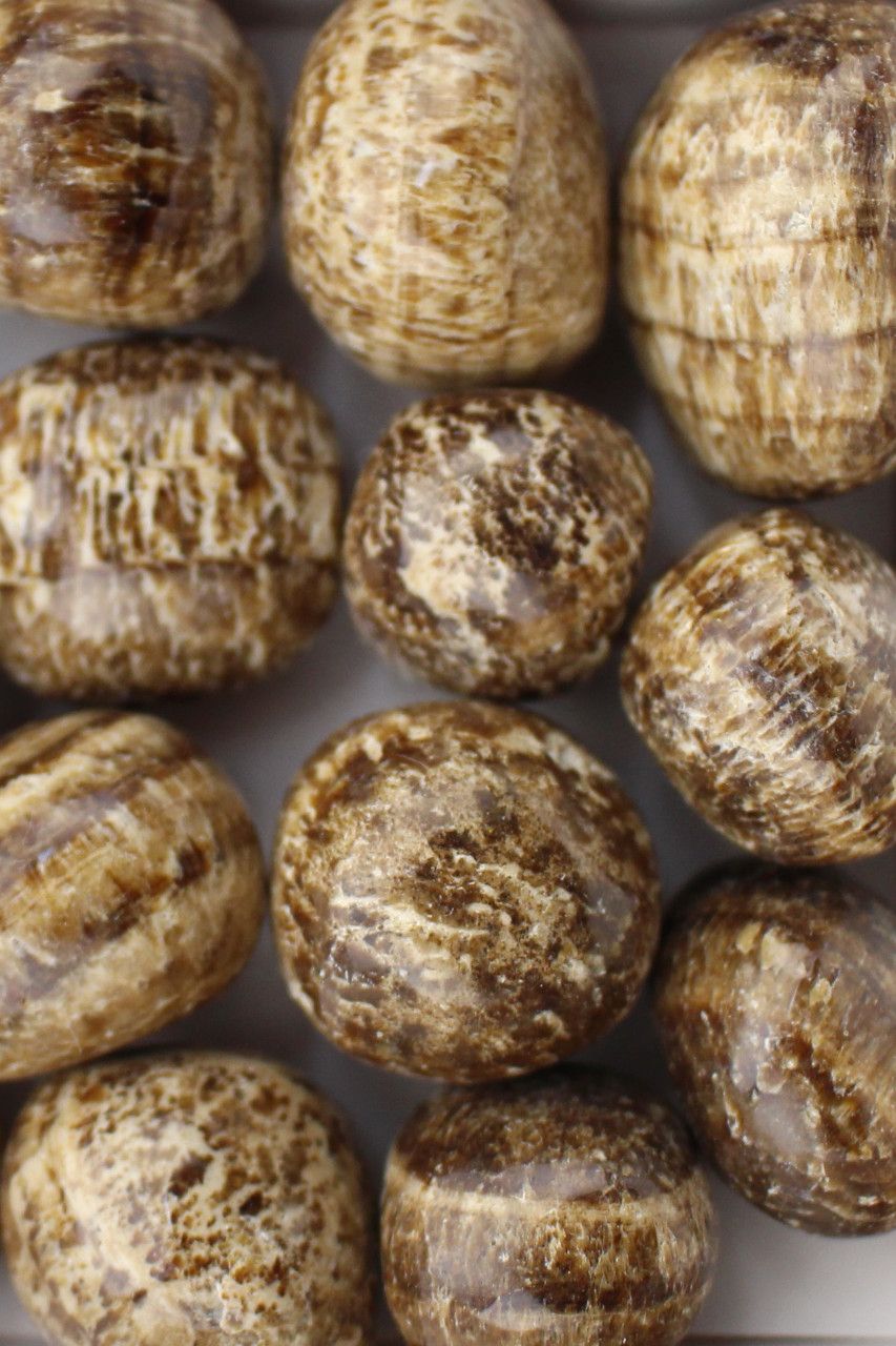 Brown Aragonite