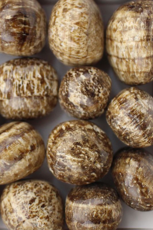 Brown Aragonite