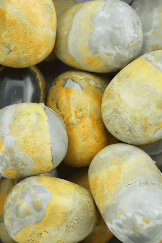 Bumblebee Jasper Round
