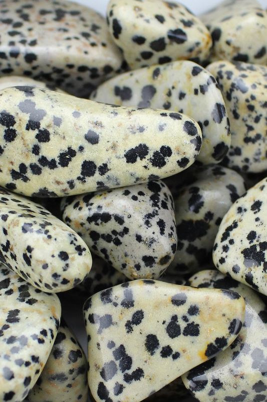 Dalmatian Jasper
