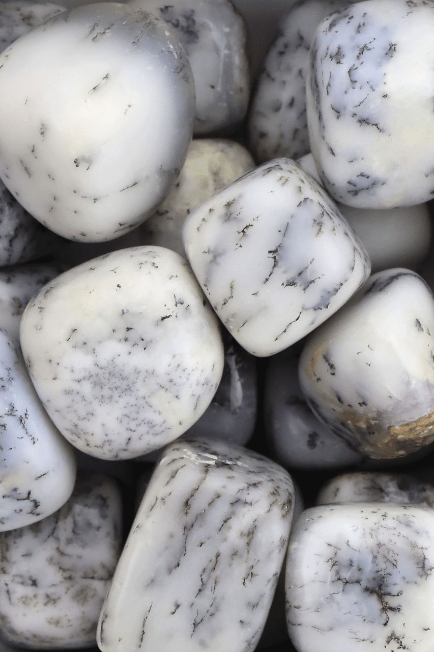 Dendritic Opal White