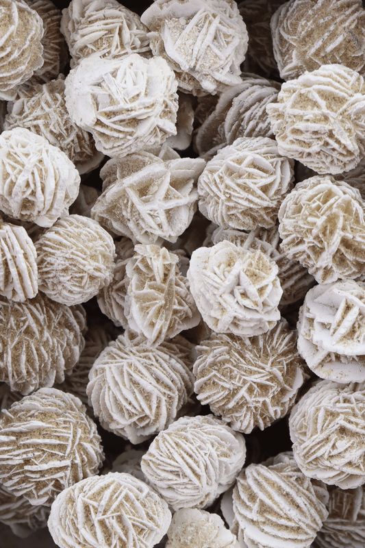 Desert Rose