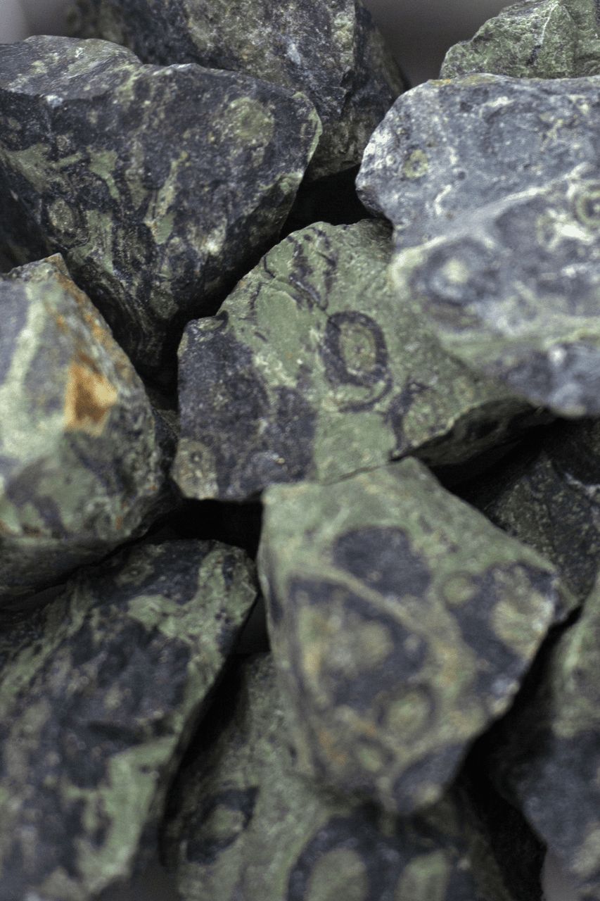 Kambaba Jasper Raw