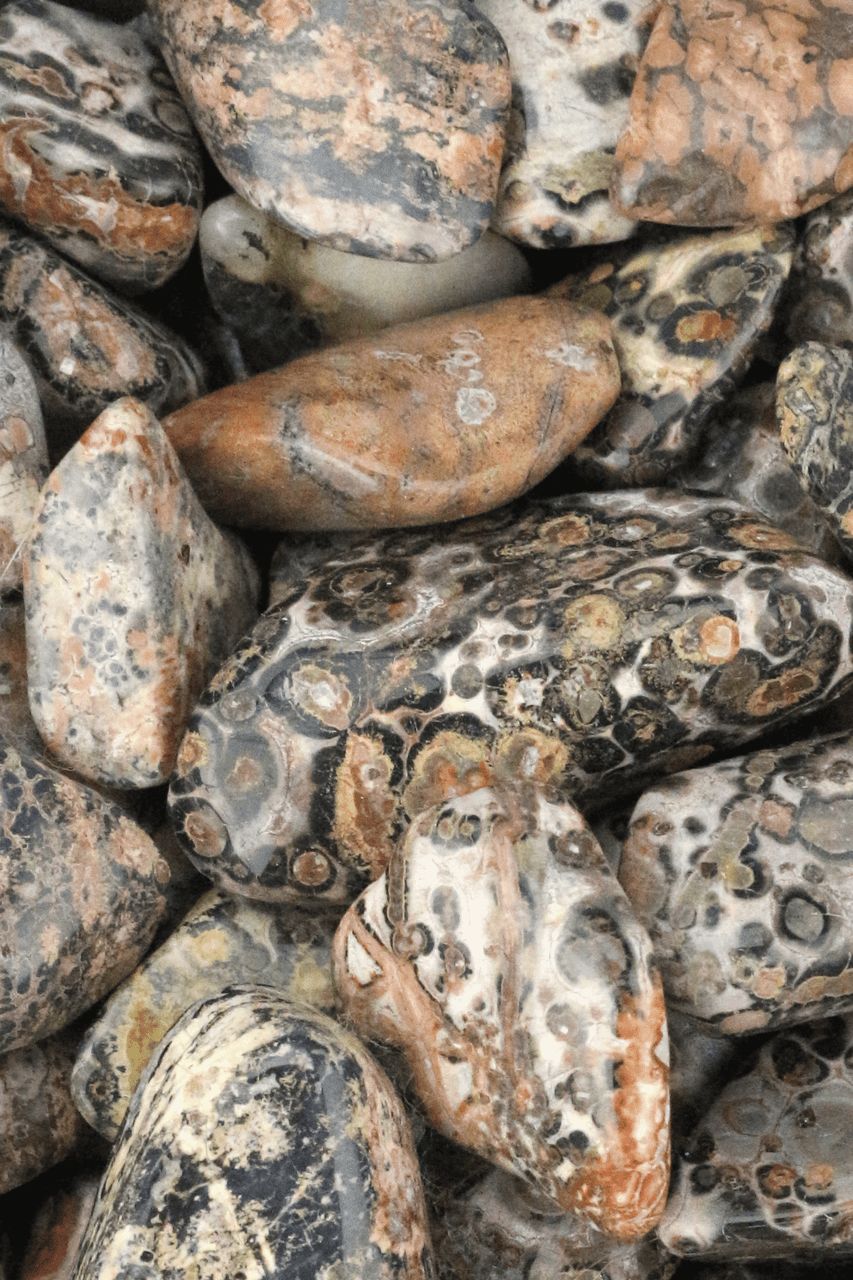 Leopard Jasper