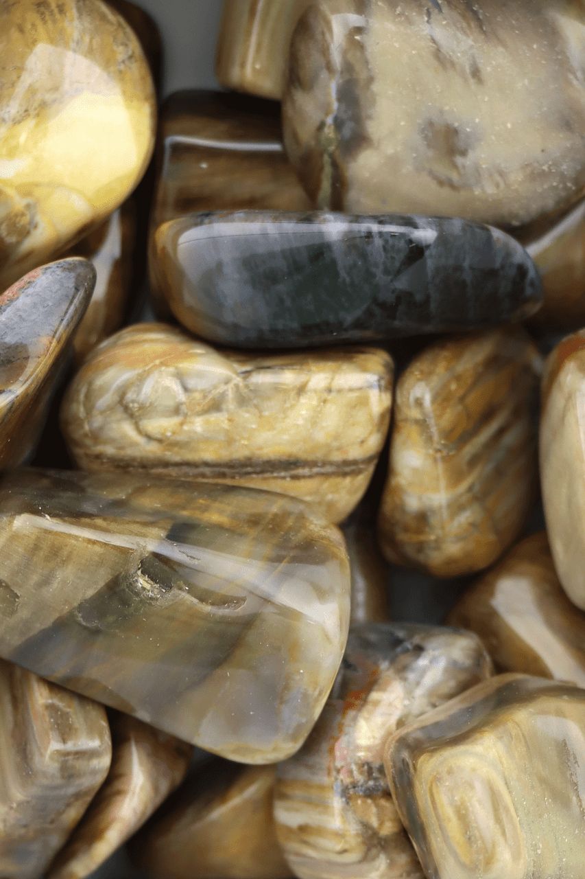 Petrified Wood