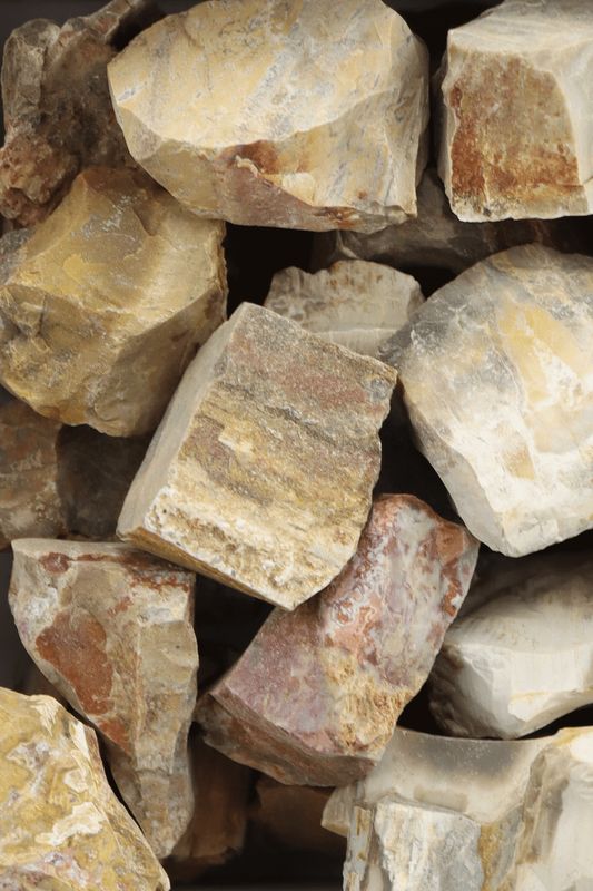 Petrified Wood Raw