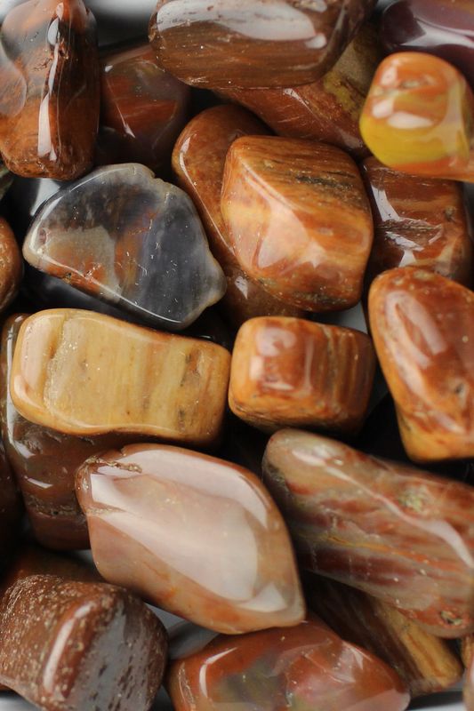 Petrified Wood Small