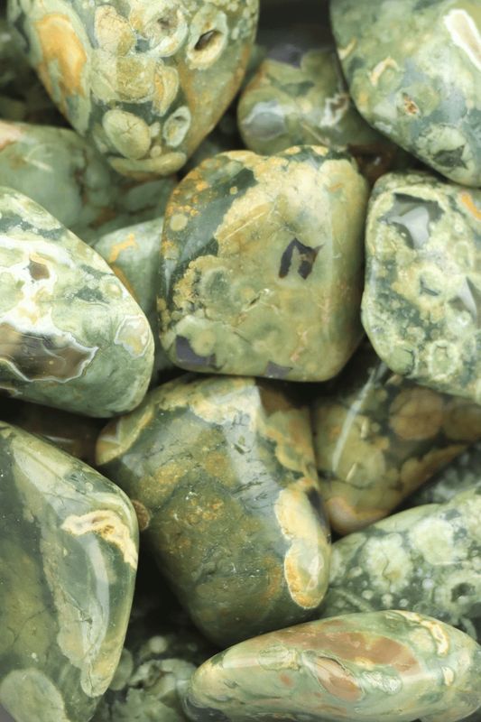 Rainforest Jasper