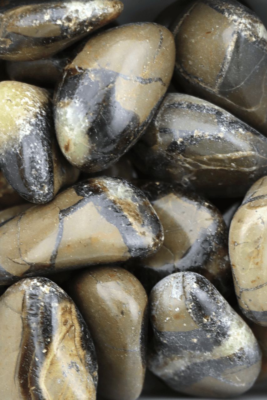 Septarian
