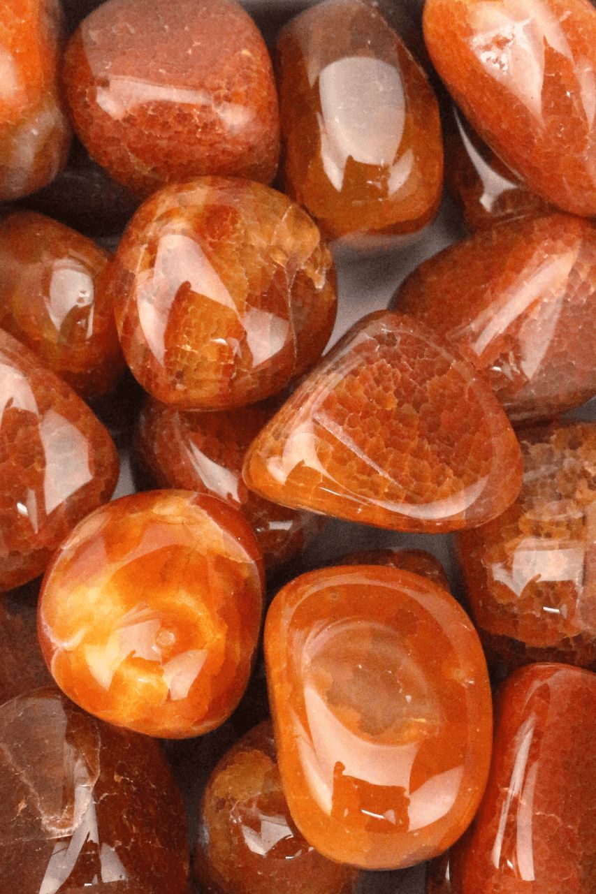 Snakeskin Agate