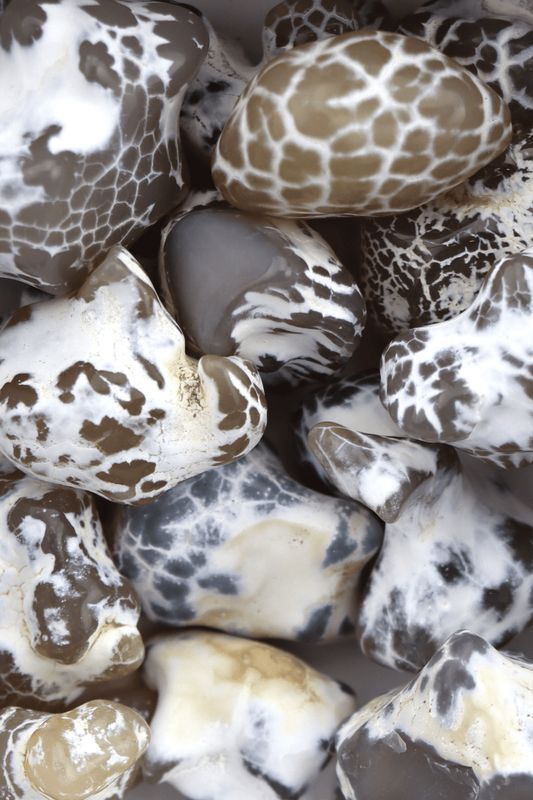 Snakeskin Agate Raw
