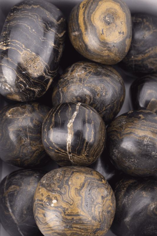 Stromatolite