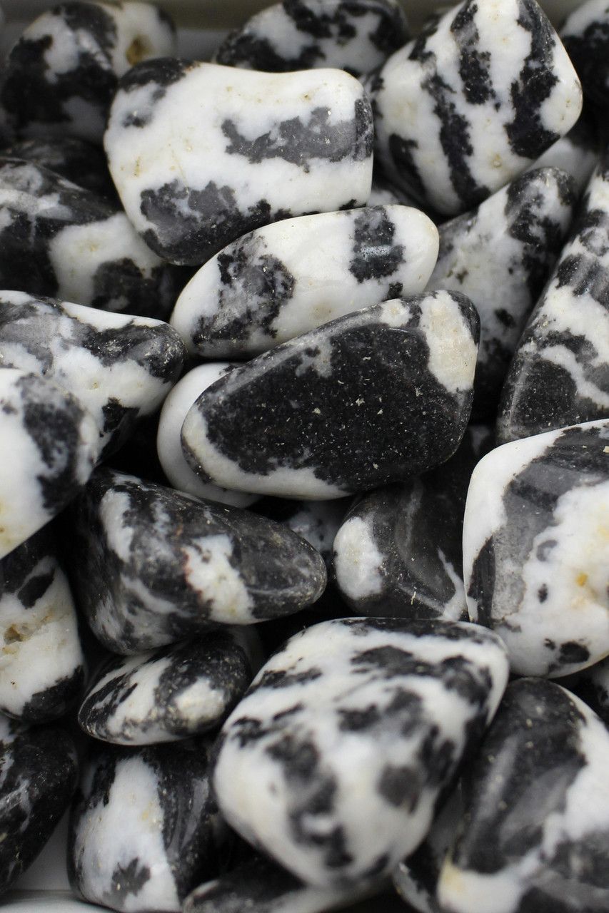 Zebra Jasper