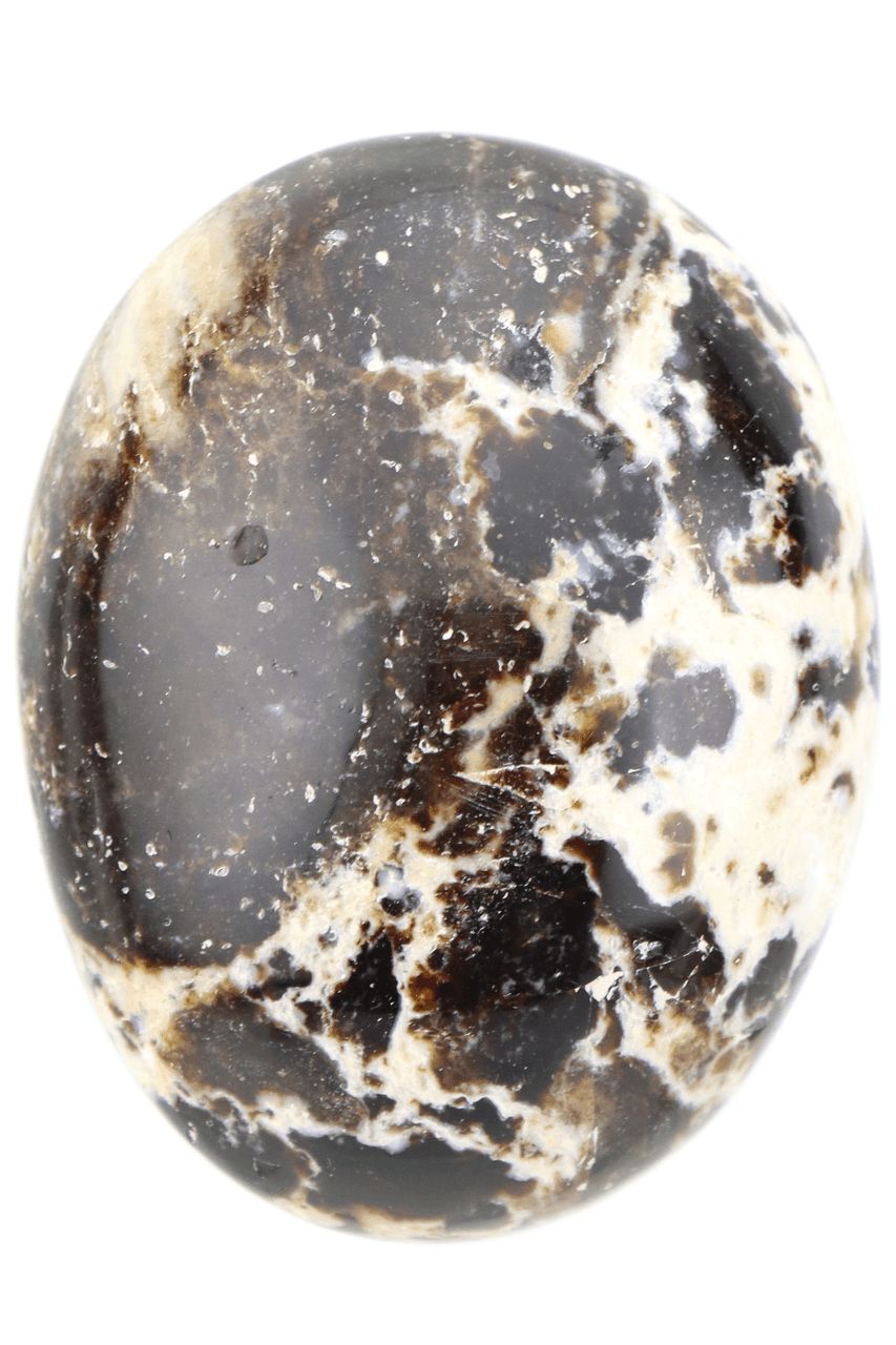 Black Opal BOPP020