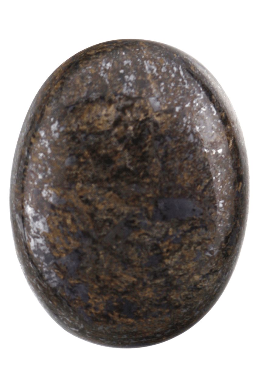 Bronzite Palm Stone BRZP06