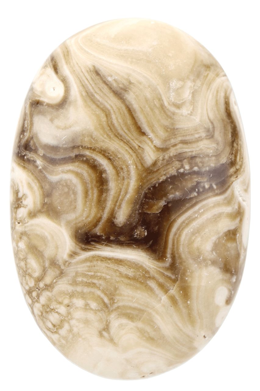 Brown Aragonite Palm Stone BAP03