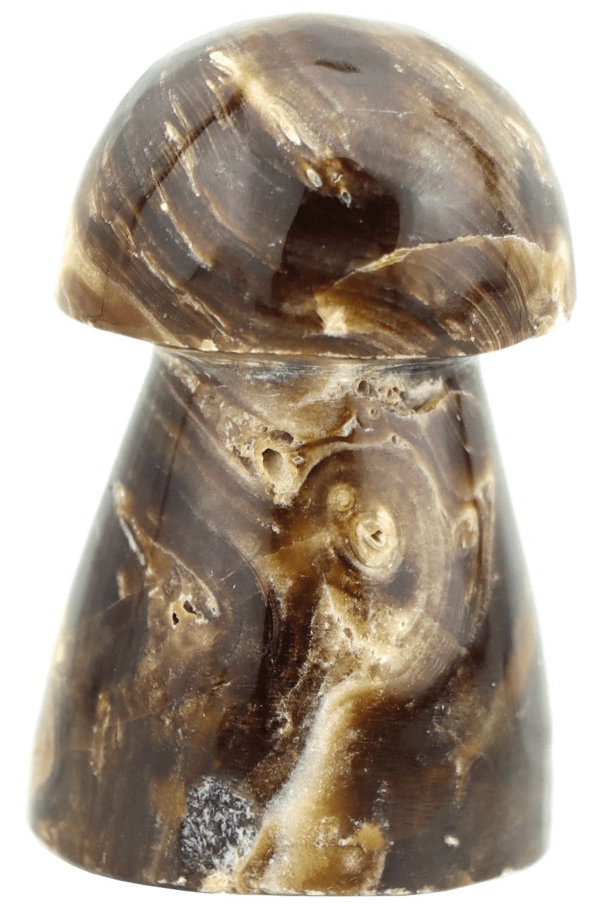 Brown Aragonite Mushroom BAM02