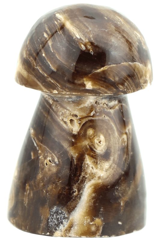 Brown Aragonite Mushroom BAM02