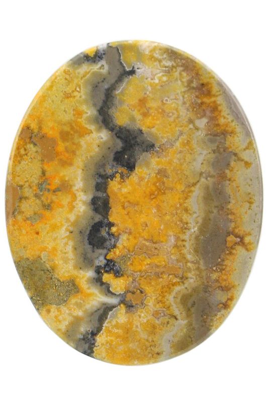Bumble Bee Jasper BMBL02