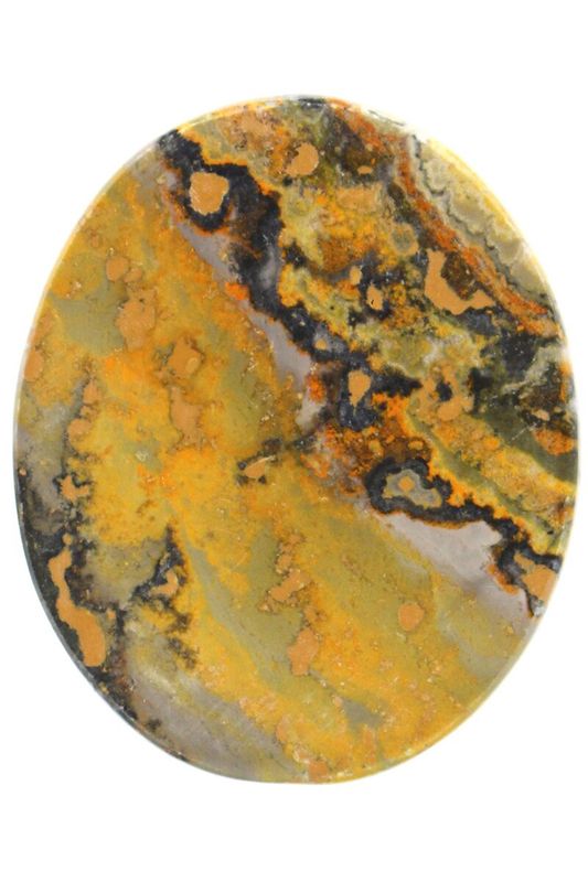 Bumble Bee Jasper BMBL01