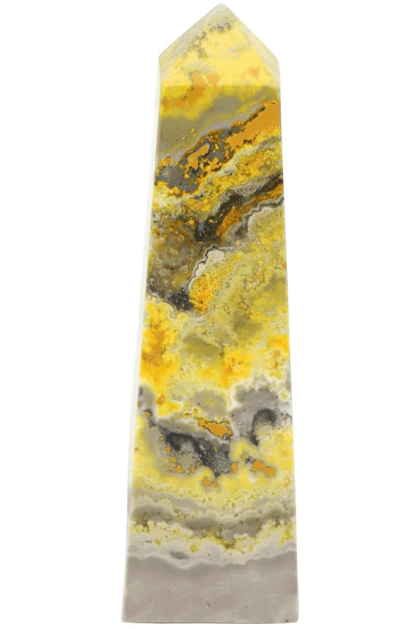 Bumble Bee Jasper Point BMBJ01