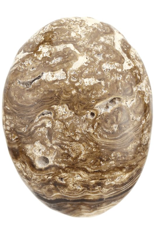Coffee Calcite Palm Stone CFCP02