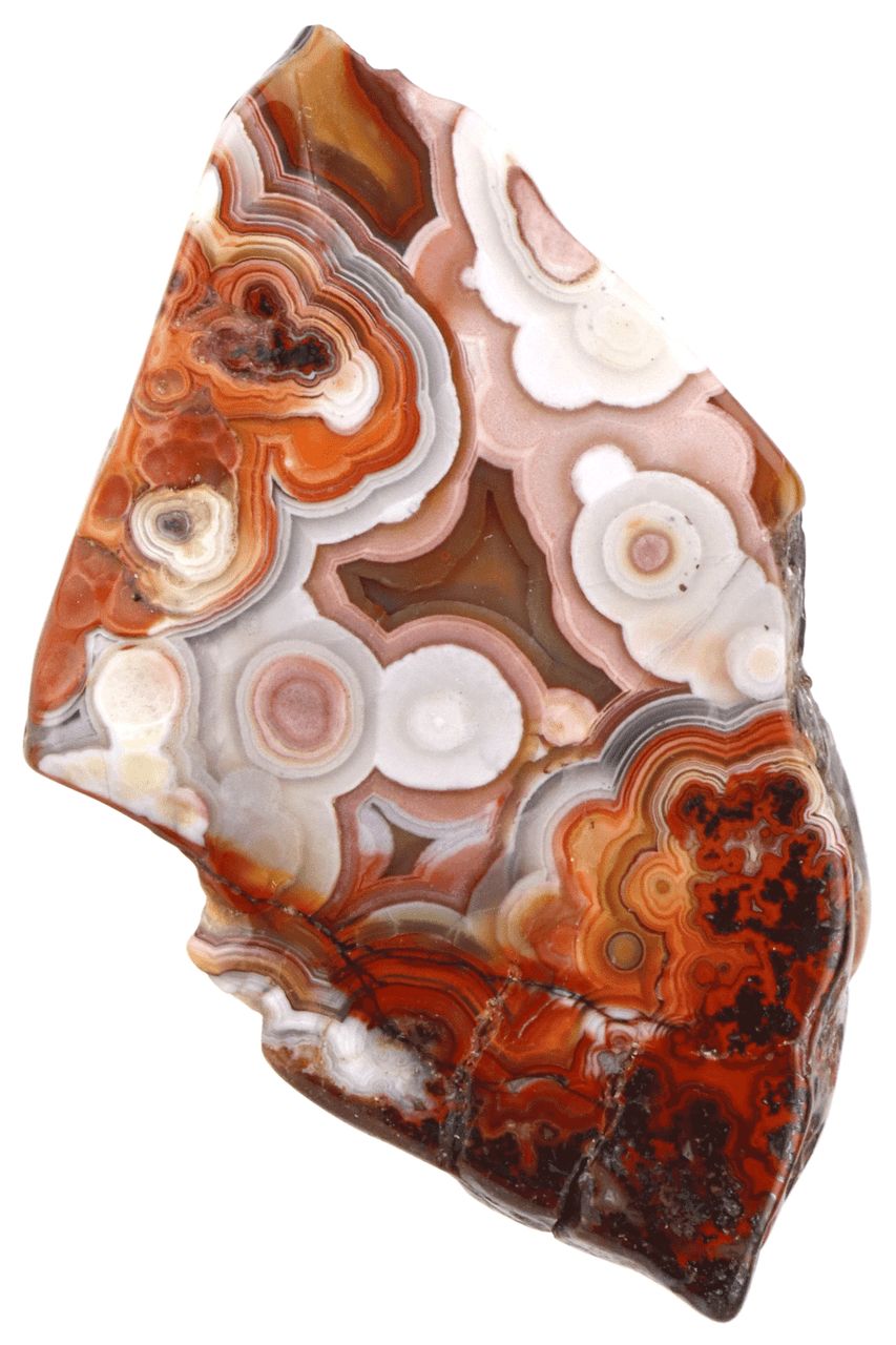 Crazy Lace Agate Slab CLAS05