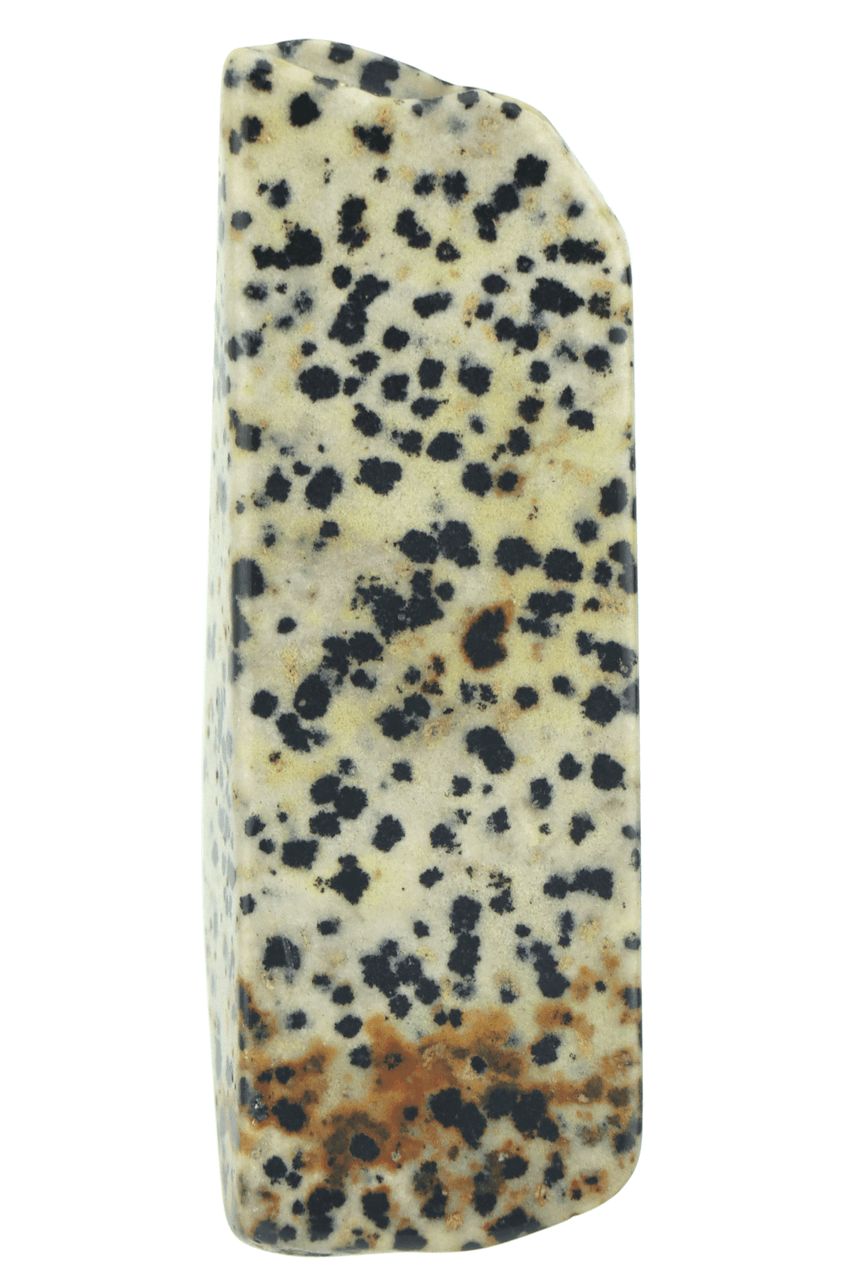 Dalmatian Jasper Slab DALS01