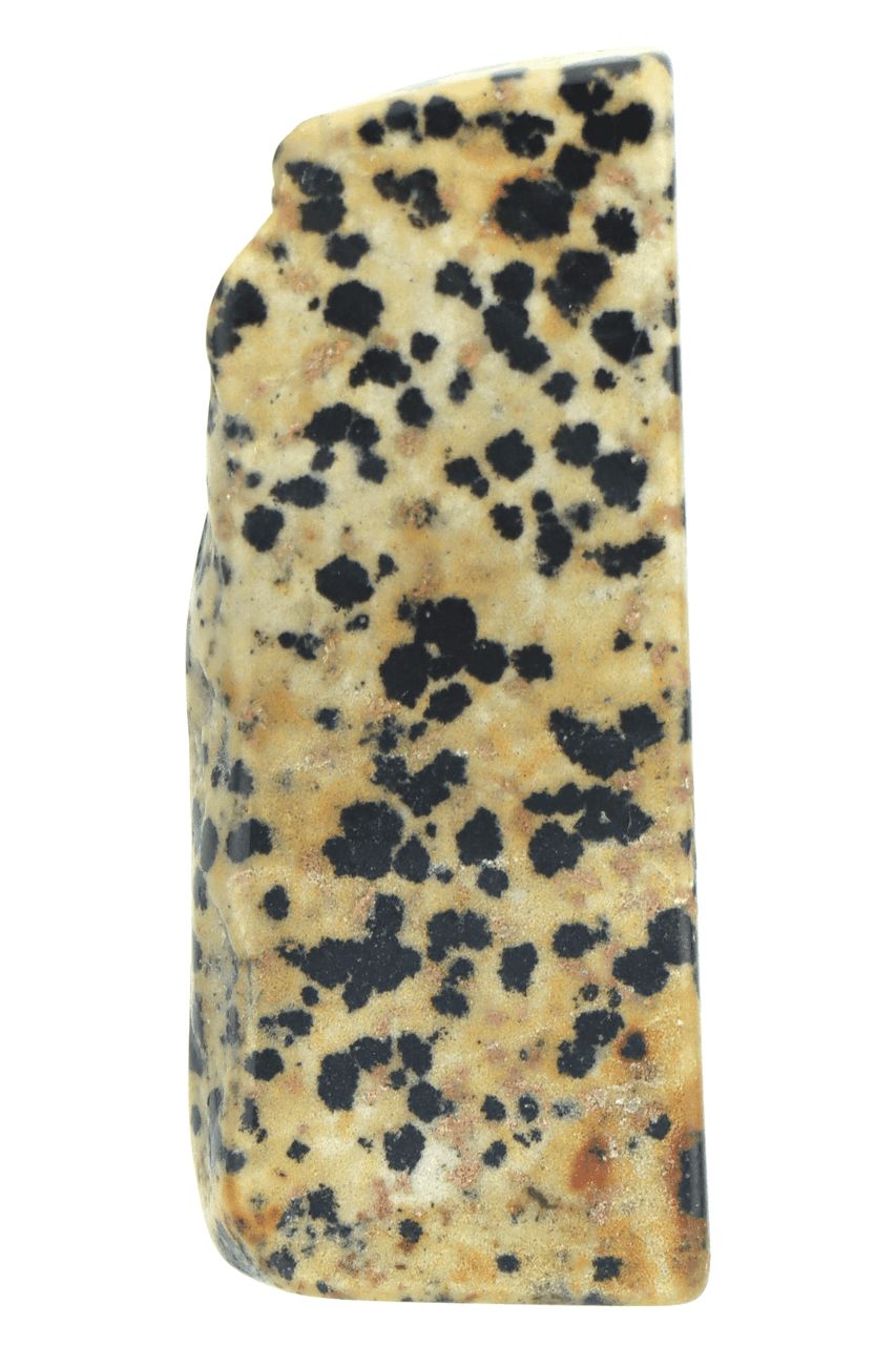 Dalmatian Jasper Slab DALS05