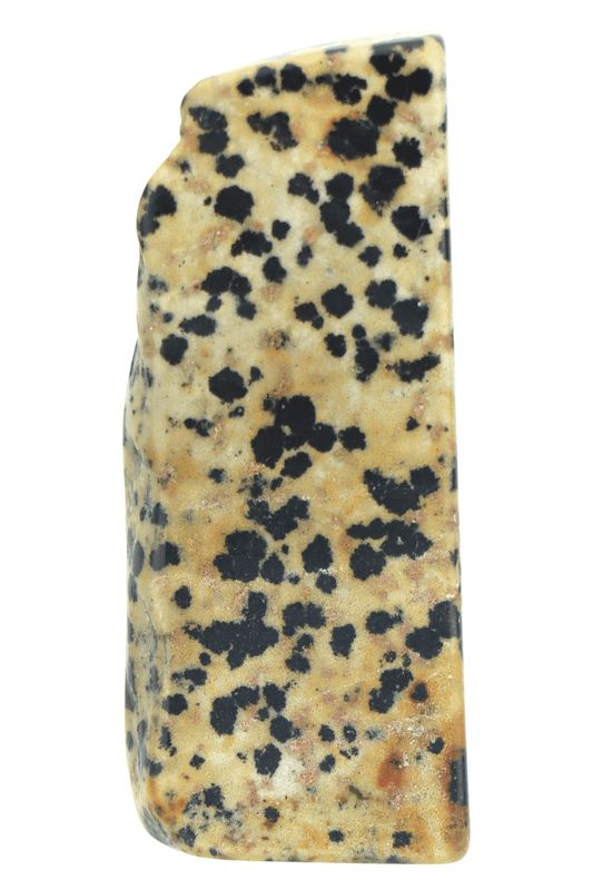 Dalmatian Jasper Slab DALS05