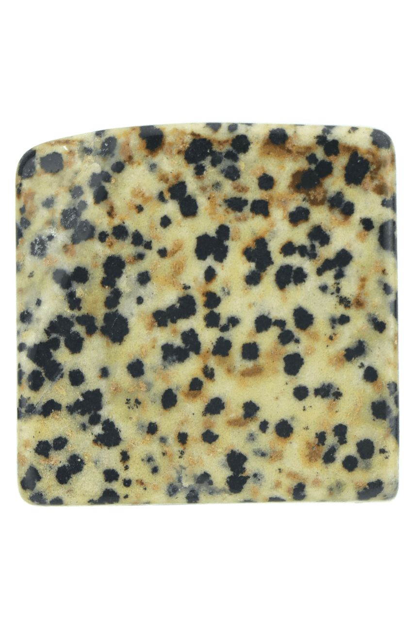 Dalmatian Jasper Slab DALS02