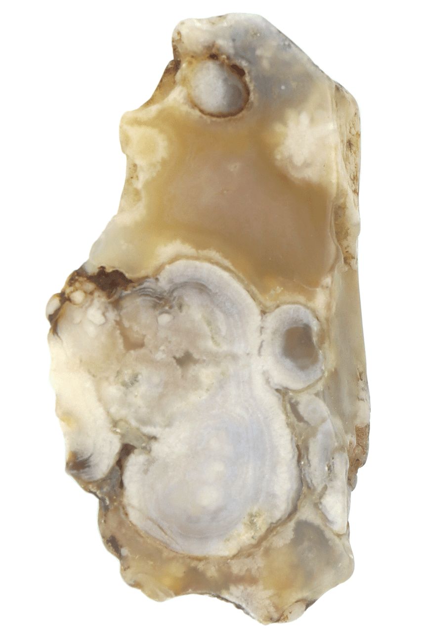Flower Agate Slabs FLAS03