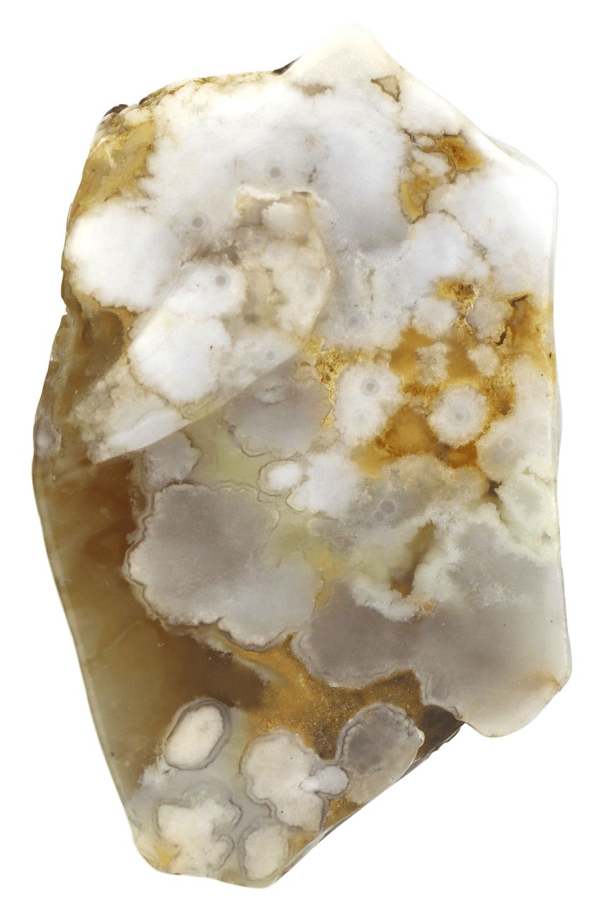 Flower Agate Slabs FLAS05