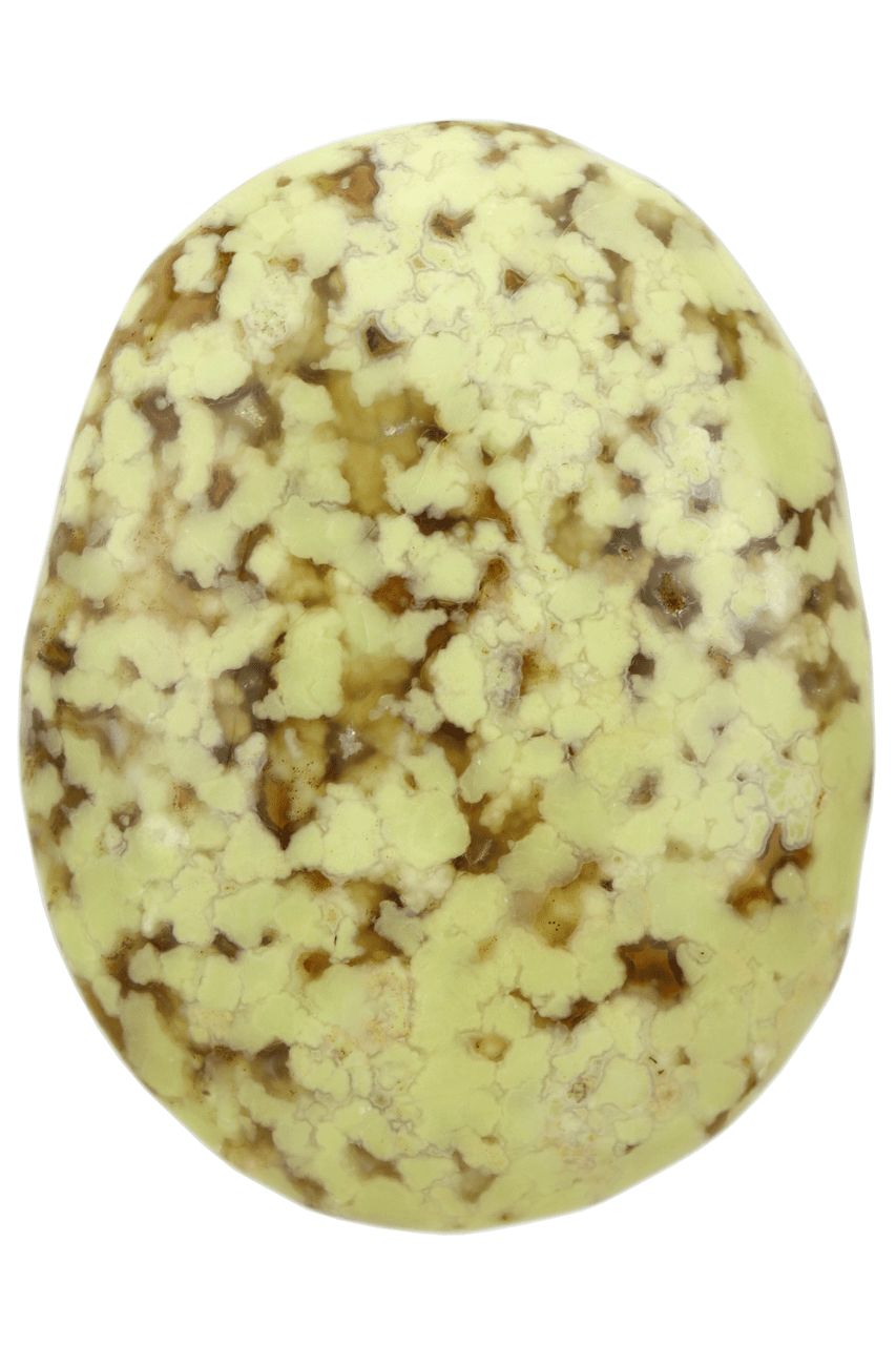 Green Opal Palm Stone GOP01