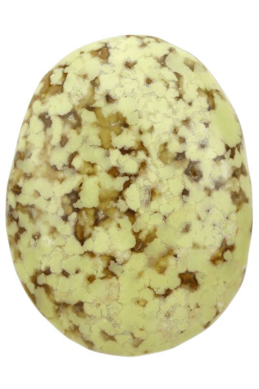 Green Opal Palm Stone GOP01