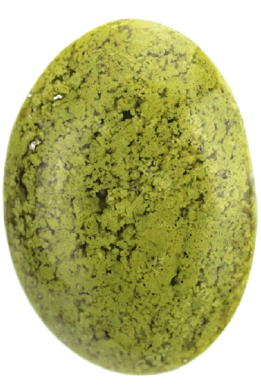 Green Opal Palm Stone GOP06