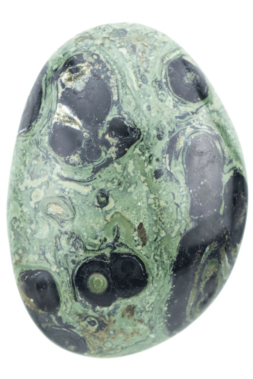 Kambaba Jasper Palm Stone KMBP01