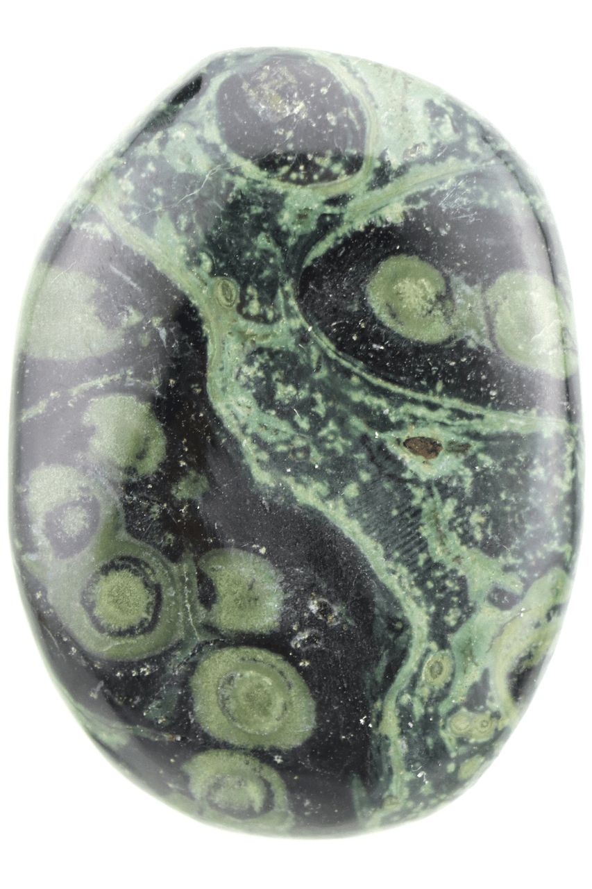 Kambaba Jasper Palm Stone KMBP03