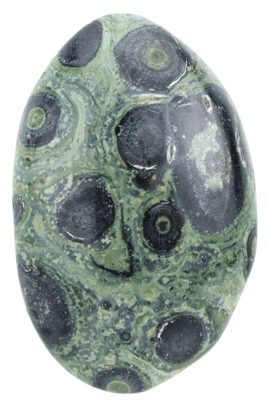 Kambaba Jasper Palm Stone KMBP02